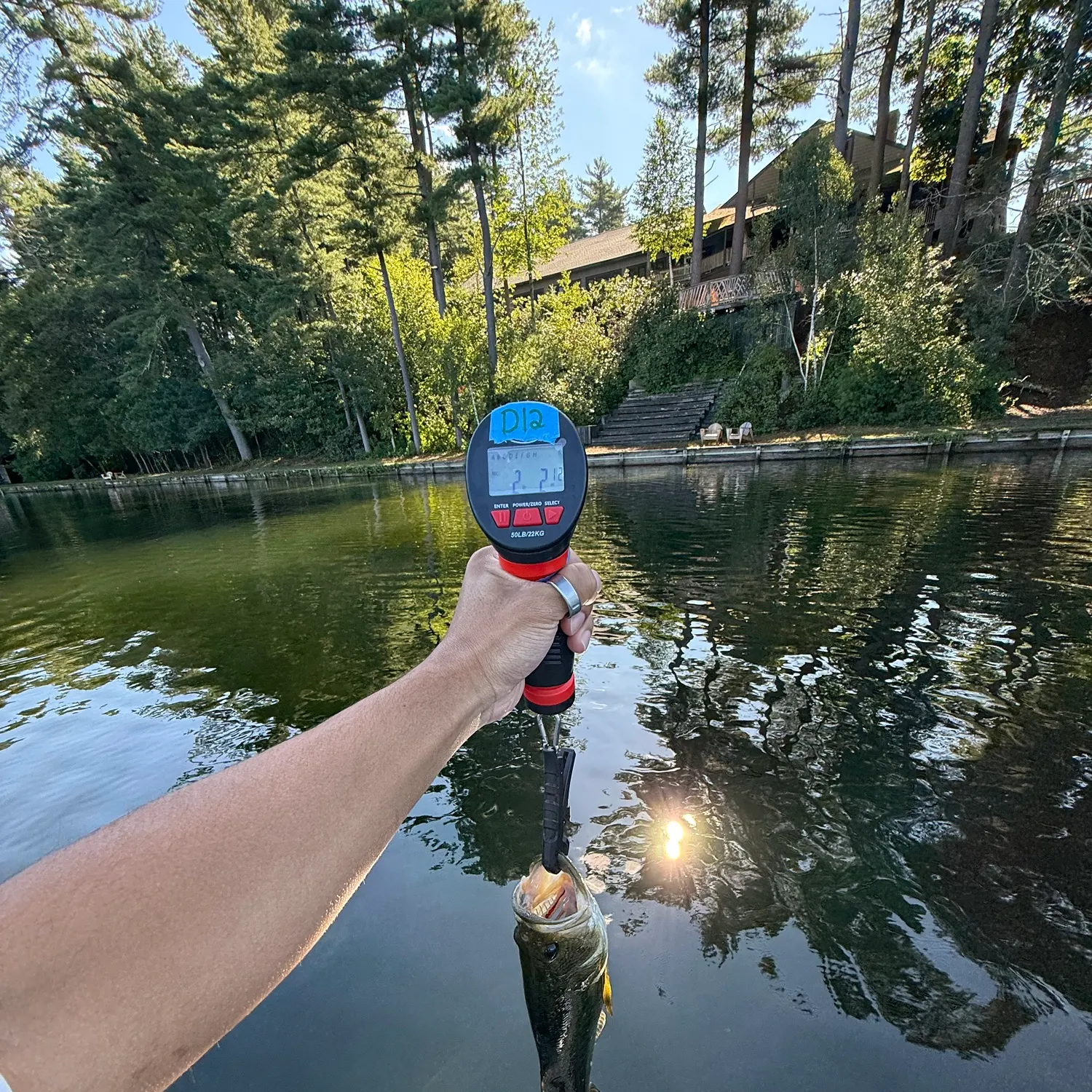 Fish caught on Fishbrain