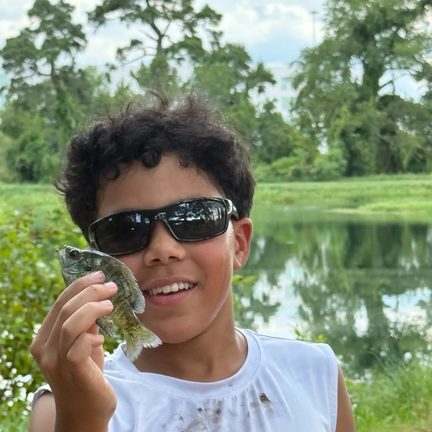 Bluegill caught on Fishbrain