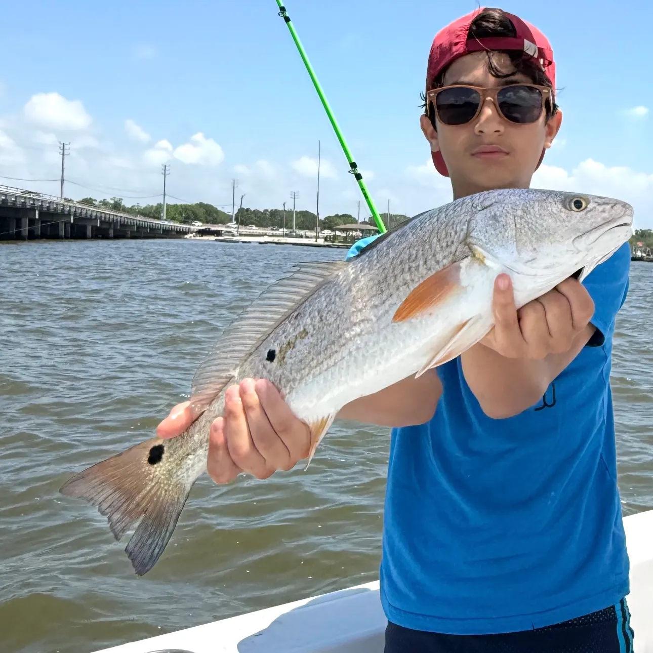 The most recent Red drum catches on Fishbrain