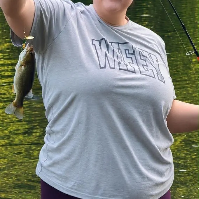 Smallmouth bass caught on Fishbrain