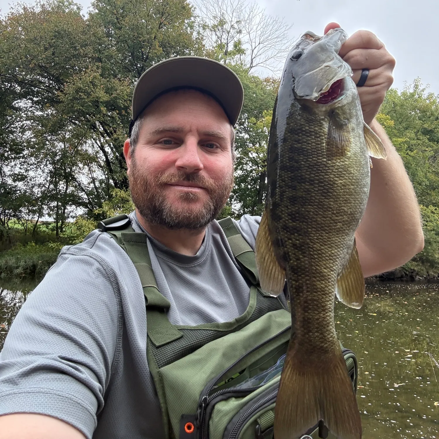 Smallmouth bass caught on Fishbrain