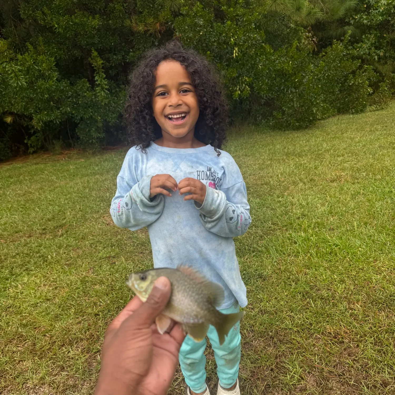 The most recent Spotted sunfish catches on Fishbrain