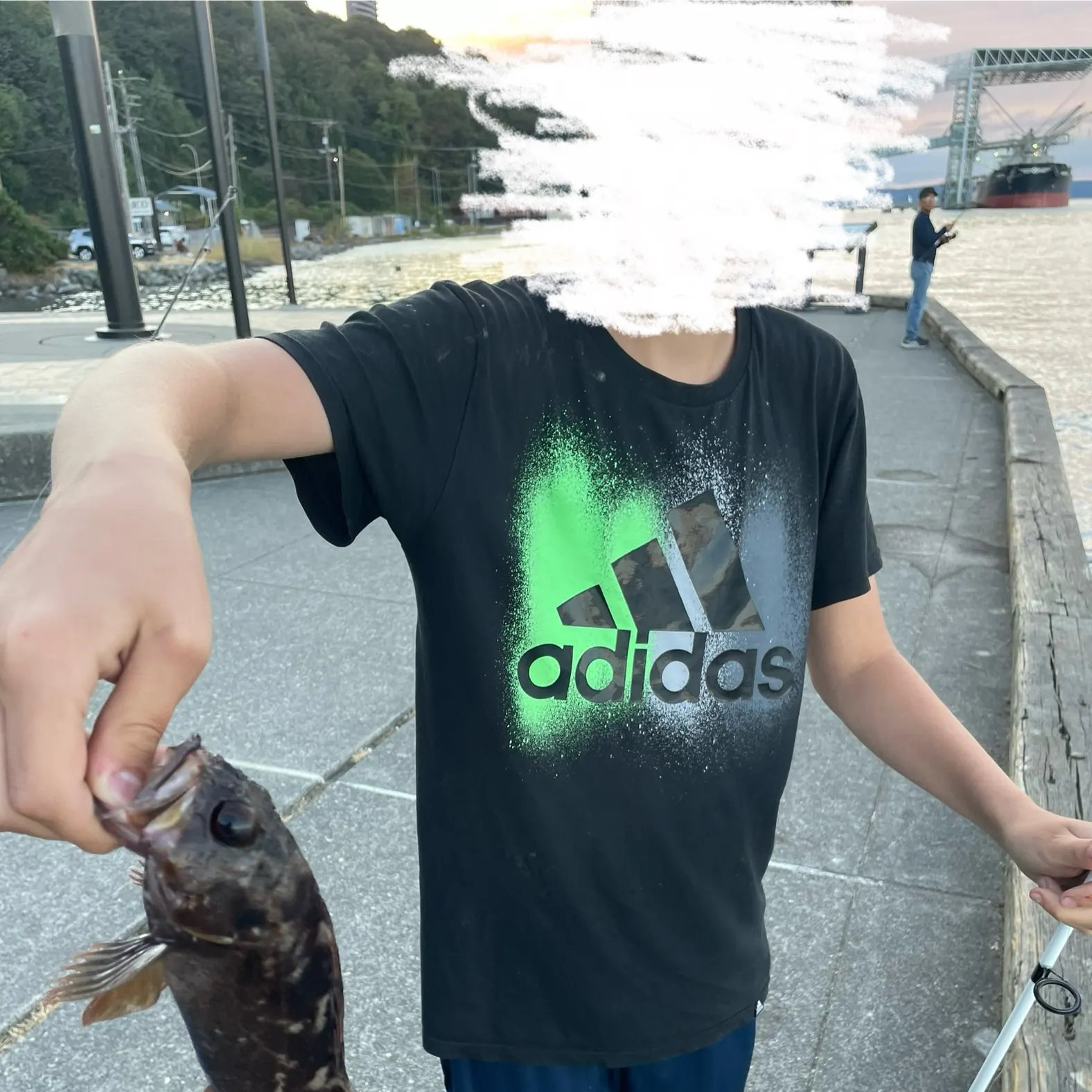 The most recent Brown rockfish catches on Fishbrain