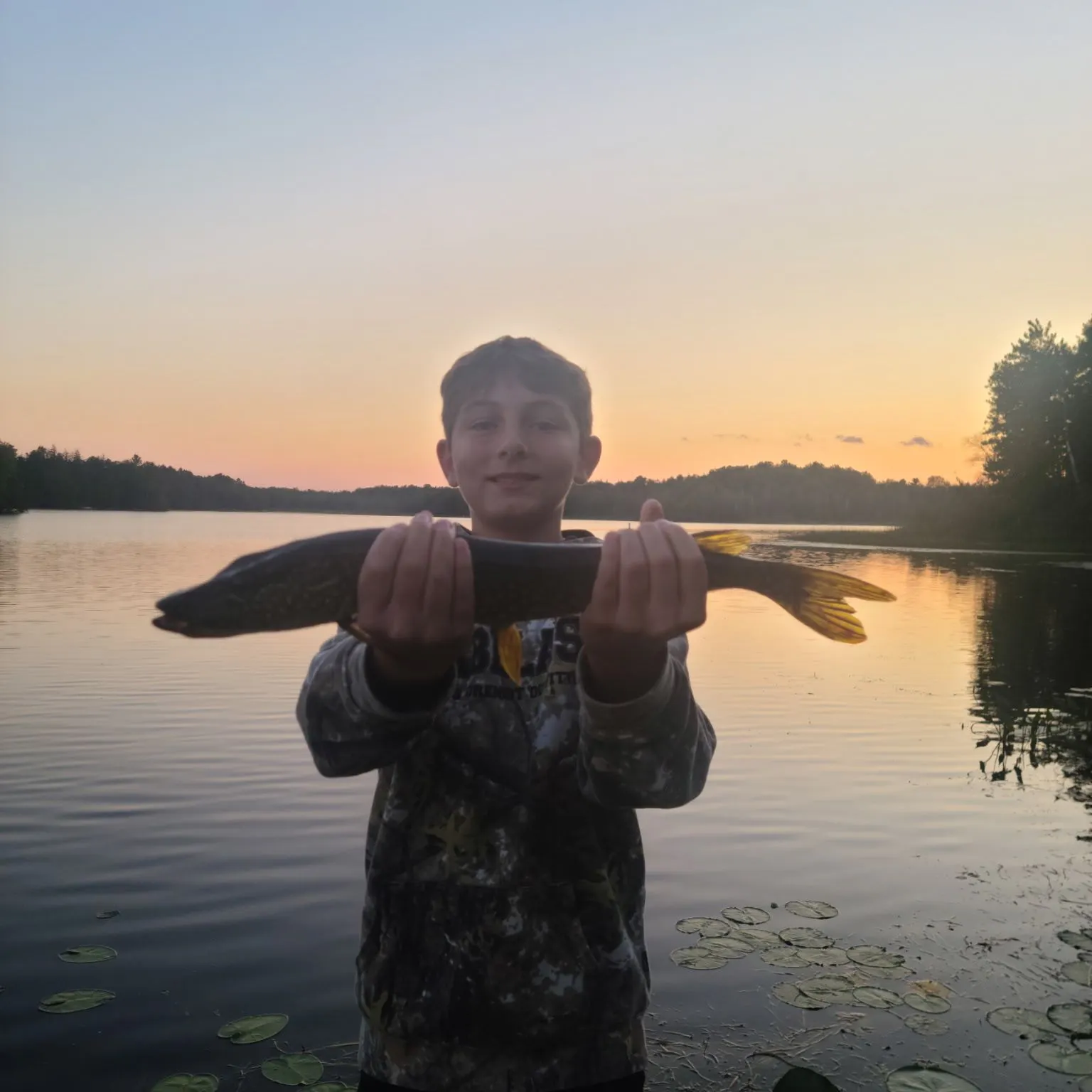 Northern pike caught on Fishbrain