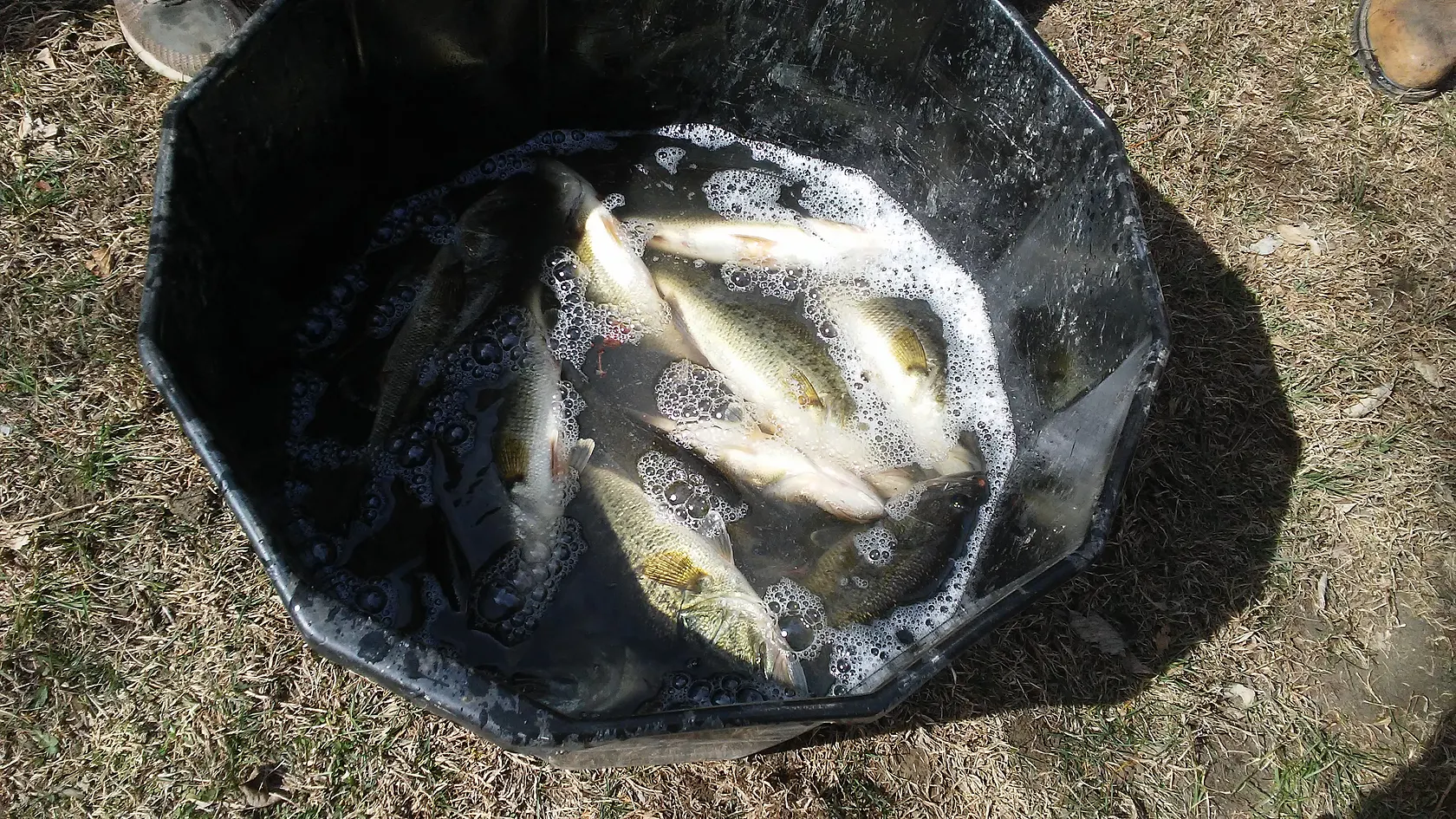 Post image from driley72