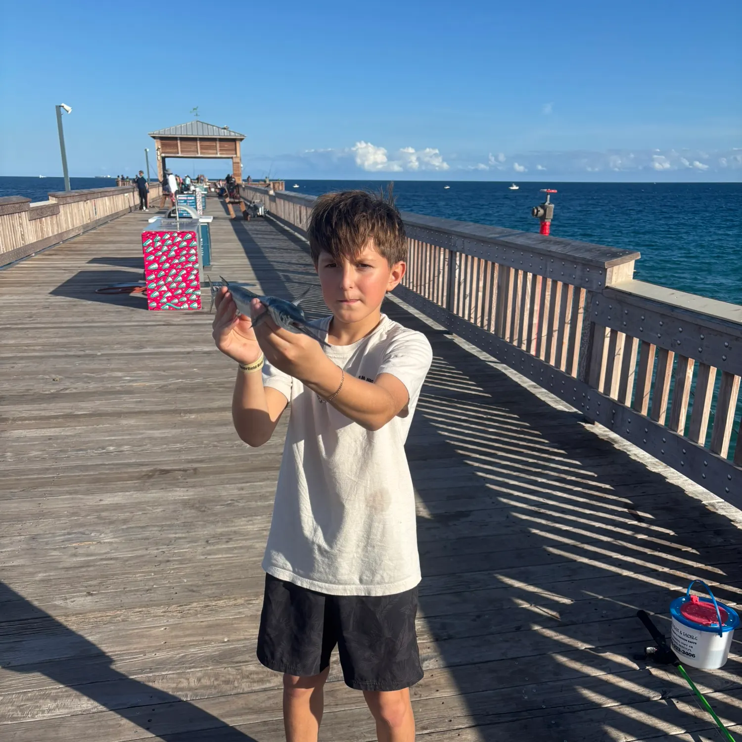 The most recent Hound needlefish catches on Fishbrain