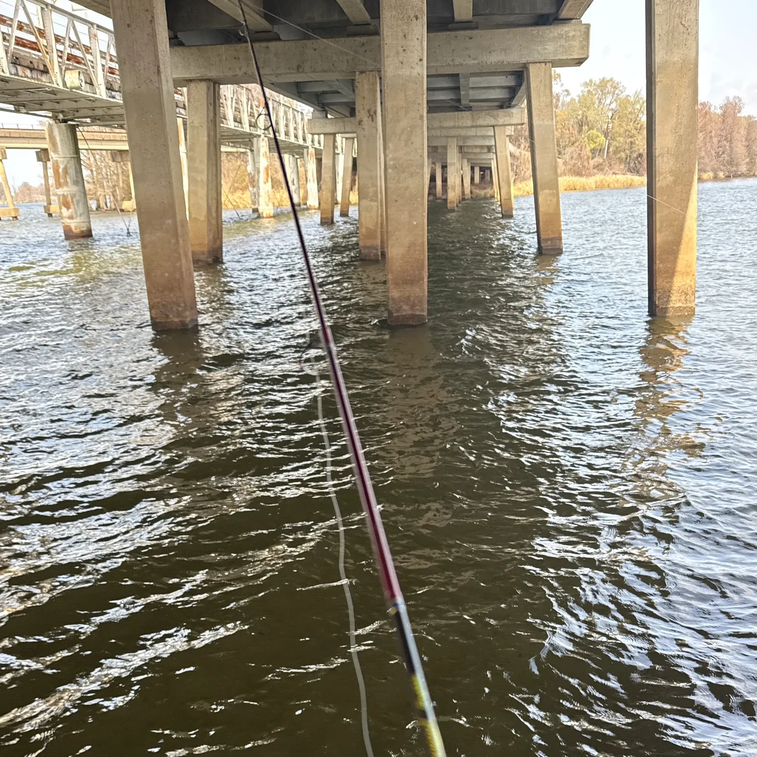 The most recent Largemouth bass catches on Fishbrain