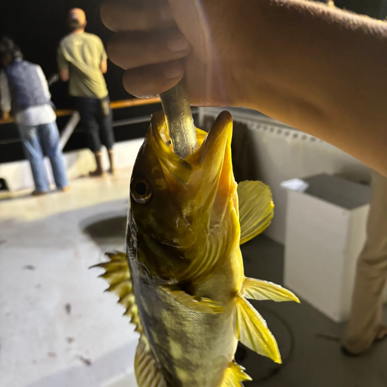 catch