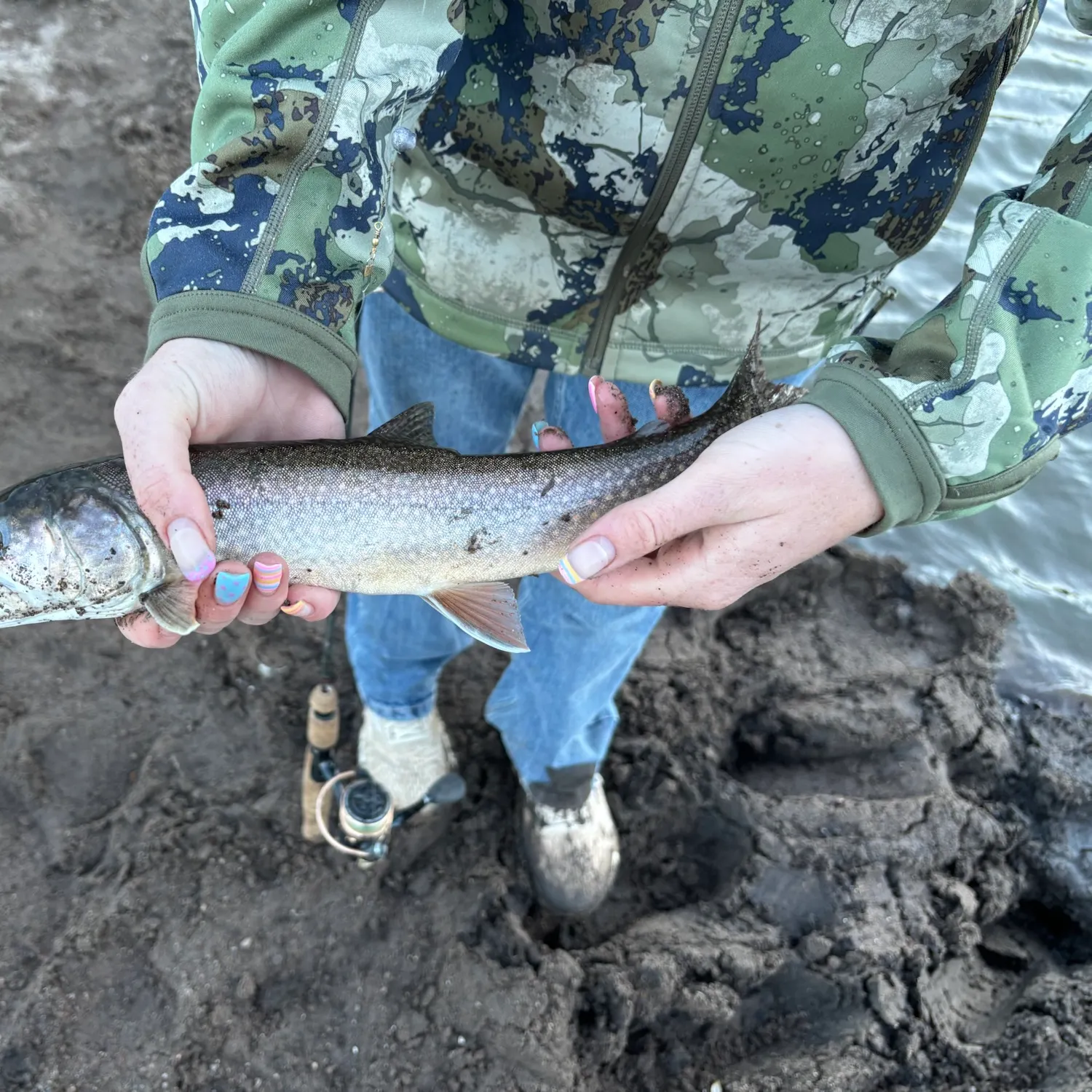 Splake caught on Fishbrain