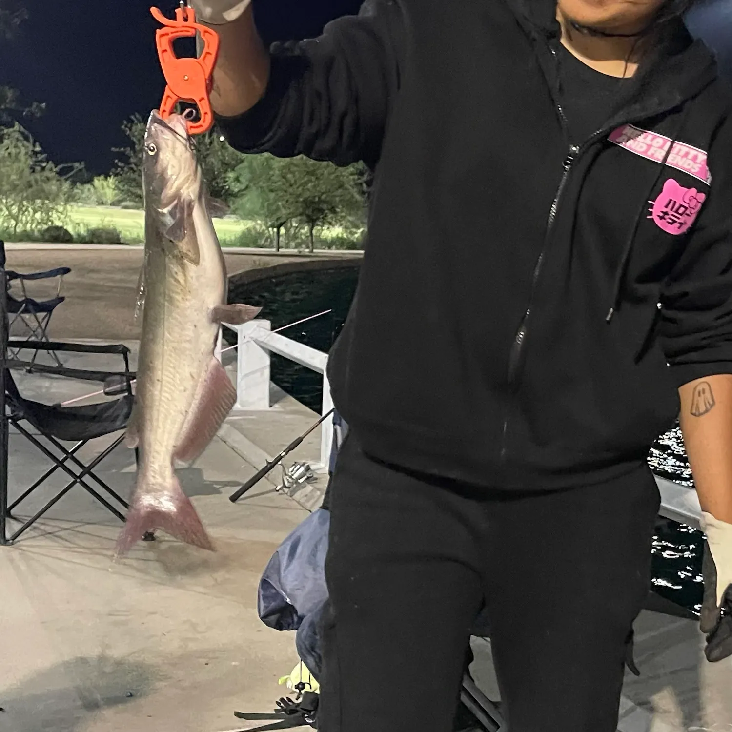 Channel catfish caught on Fishbrain