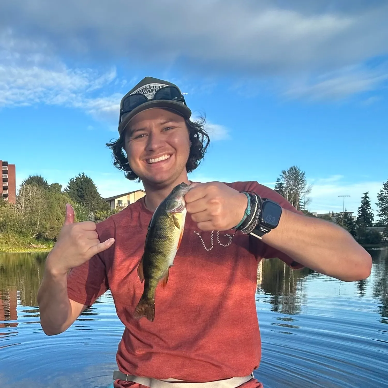 Yellow perch caught on Fishbrain