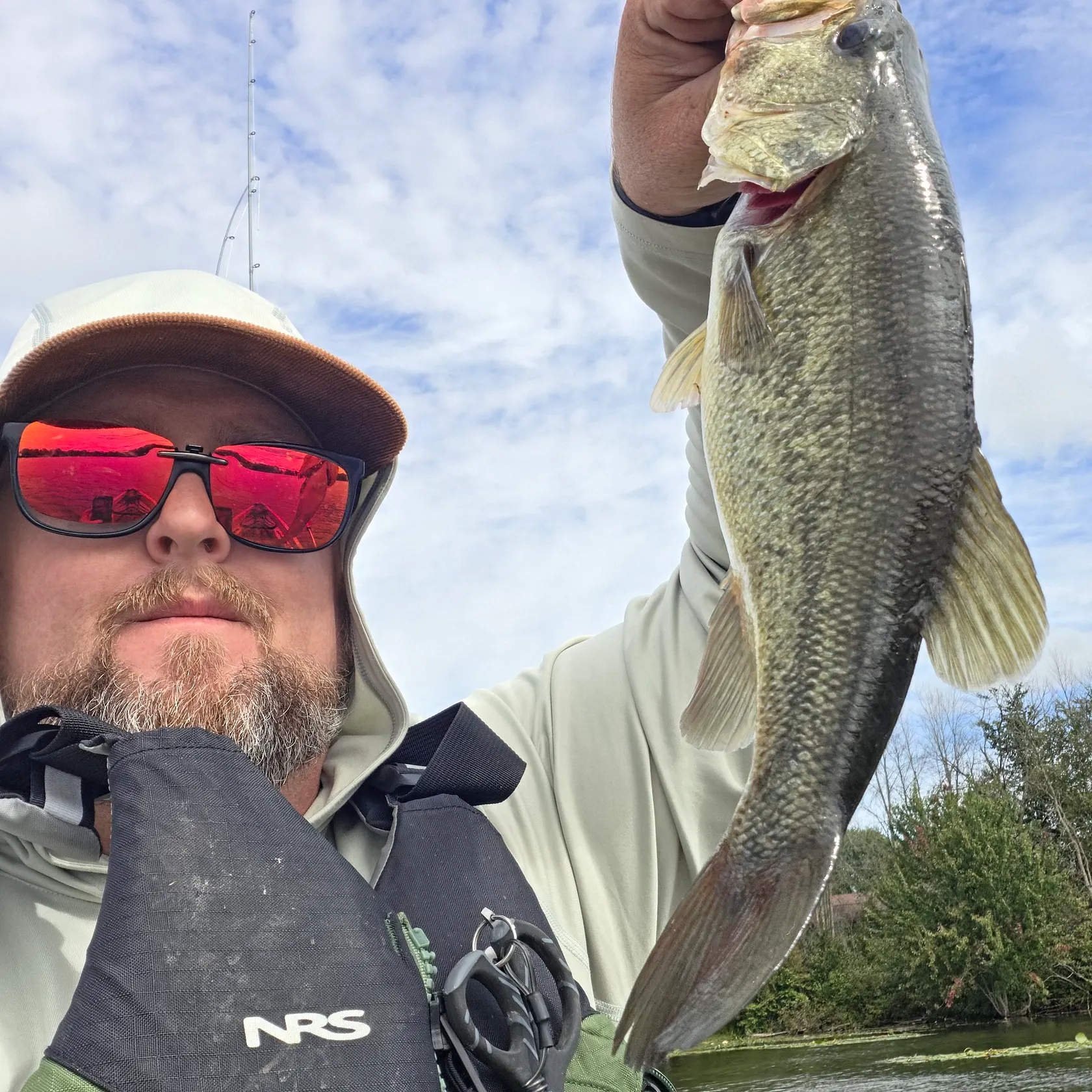 Largemouth bass caught on Fishbrain