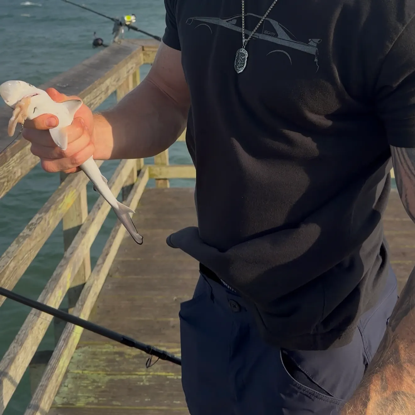 The most recent Atlantic sharpnose shark catches on Fishbrain