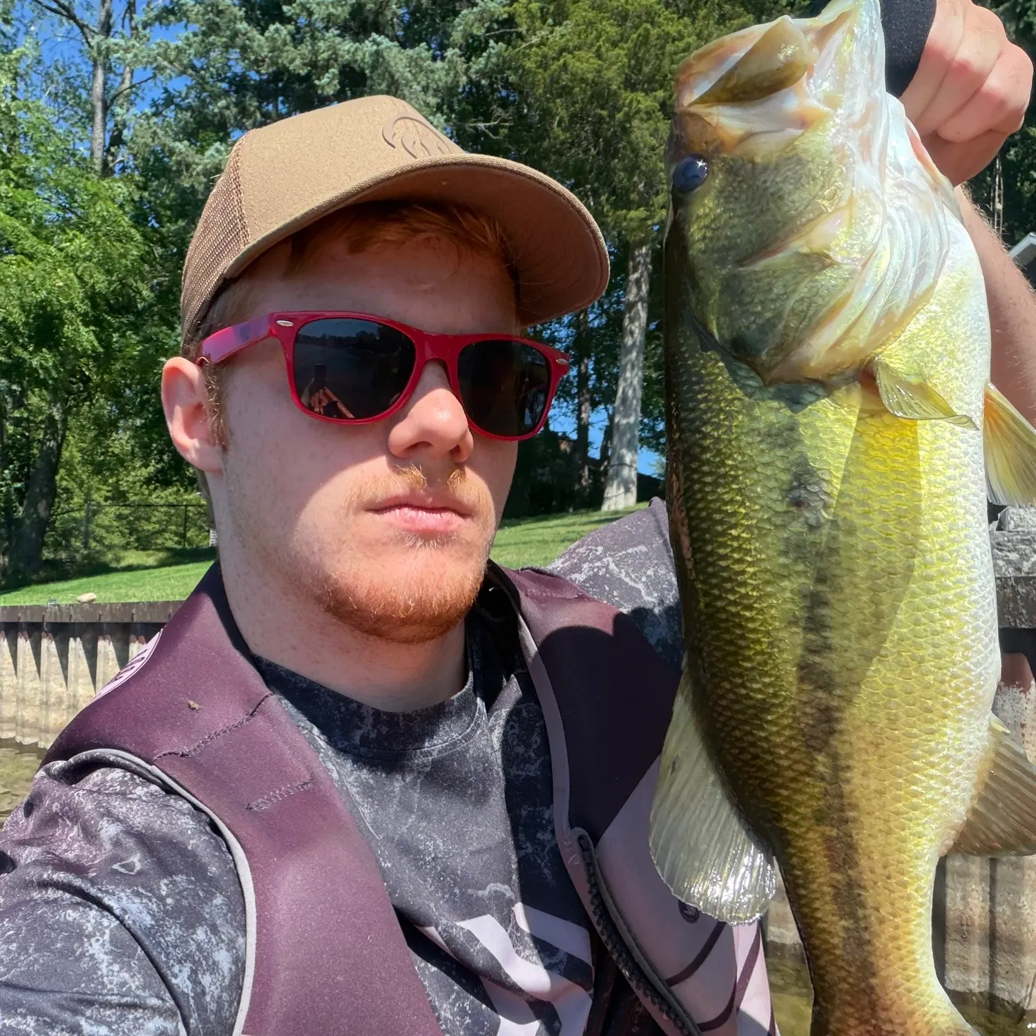 Largemouth bass caught on Fishbrain