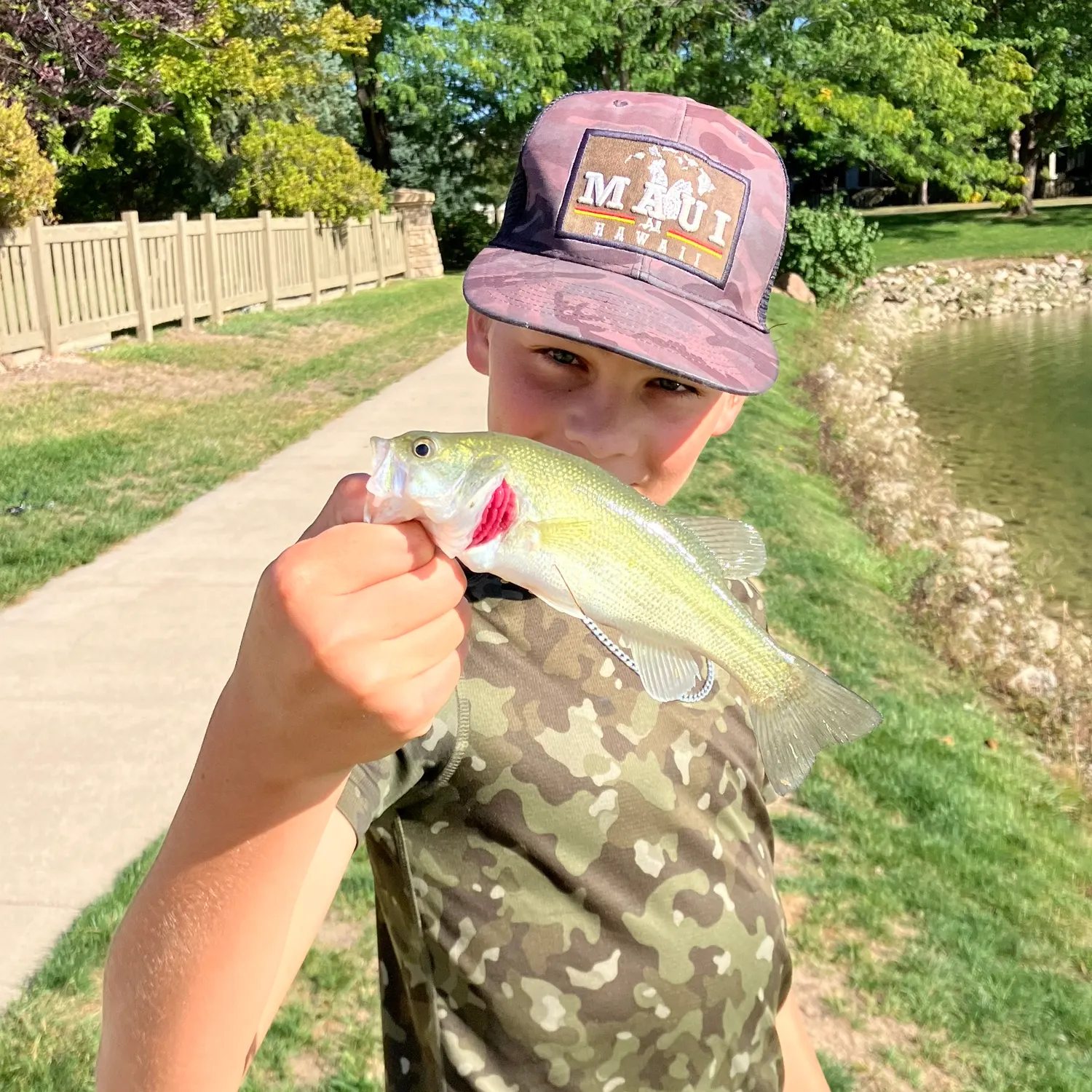 Largemouth bass caught on Fishbrain