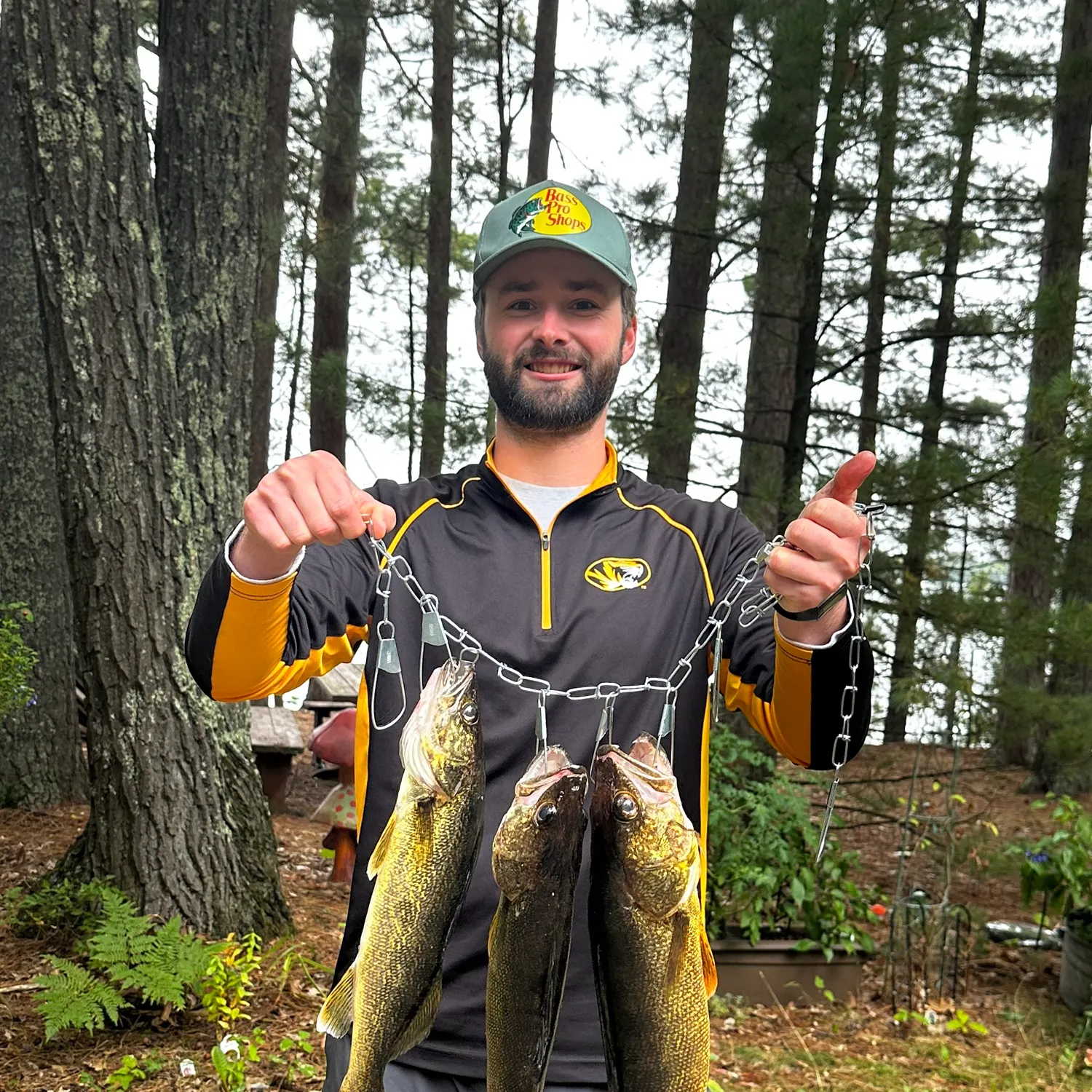 Walleye caught on Fishbrain