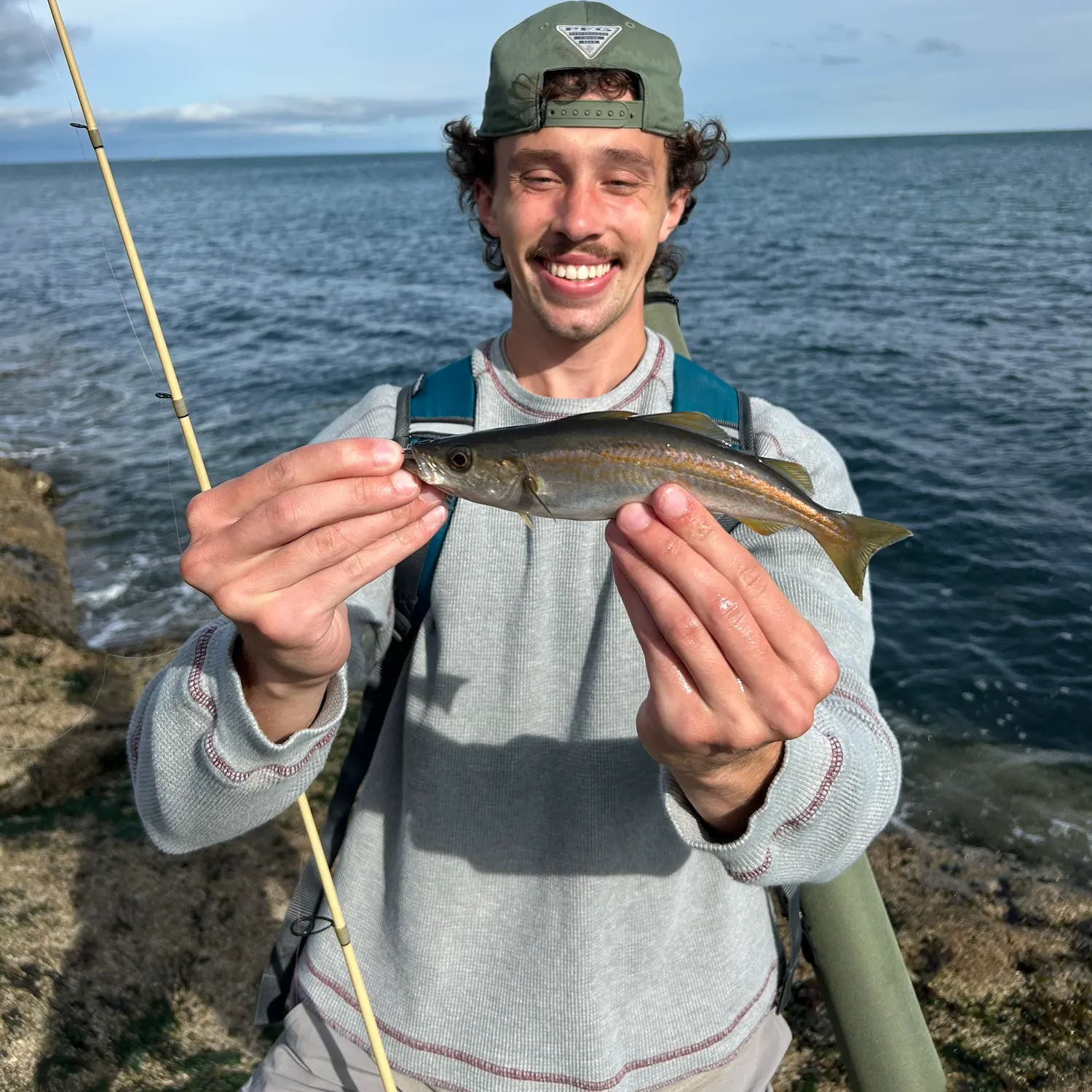 Pollack caught on Fishbrain