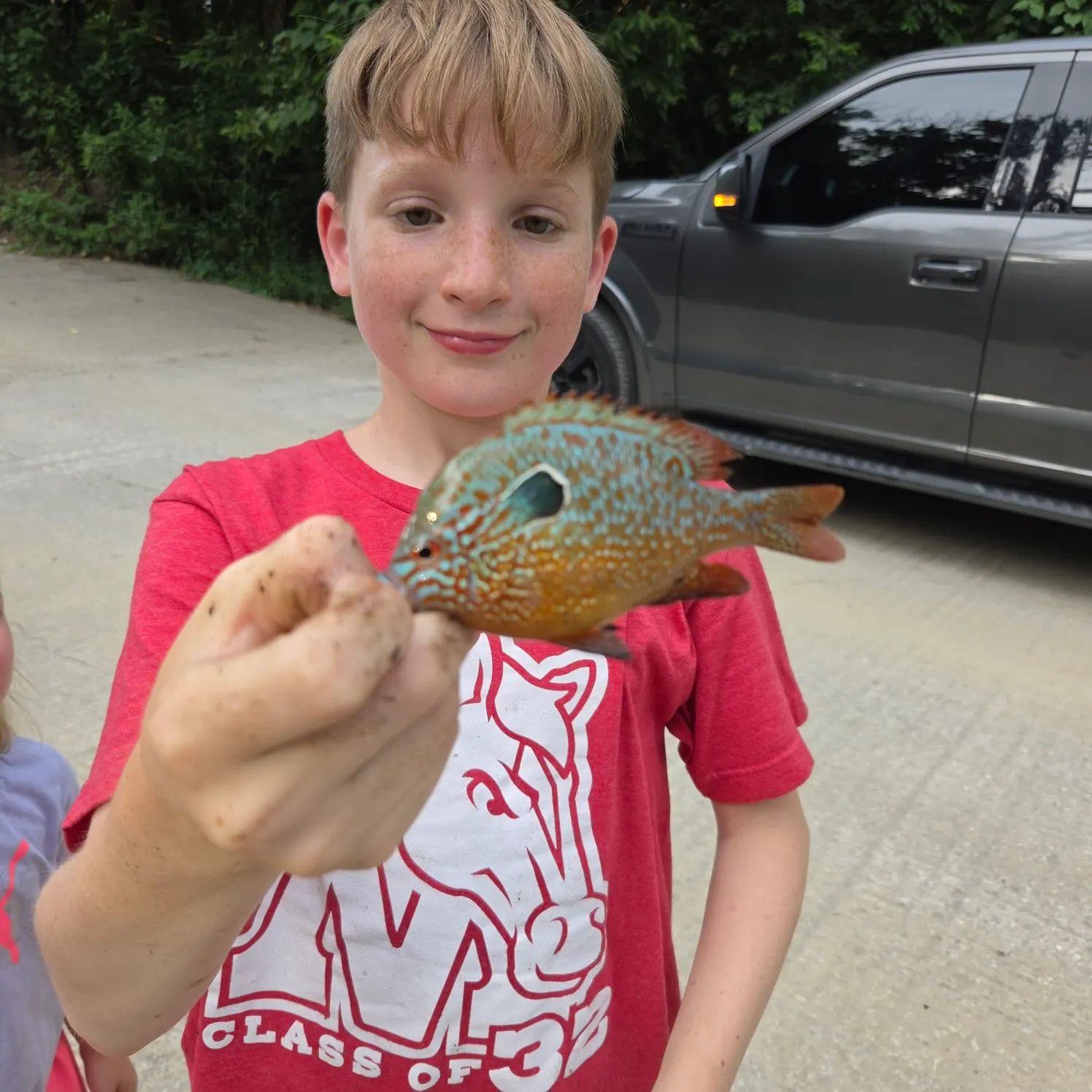 The most recent Orangespotted sunfish catches on Fishbrain