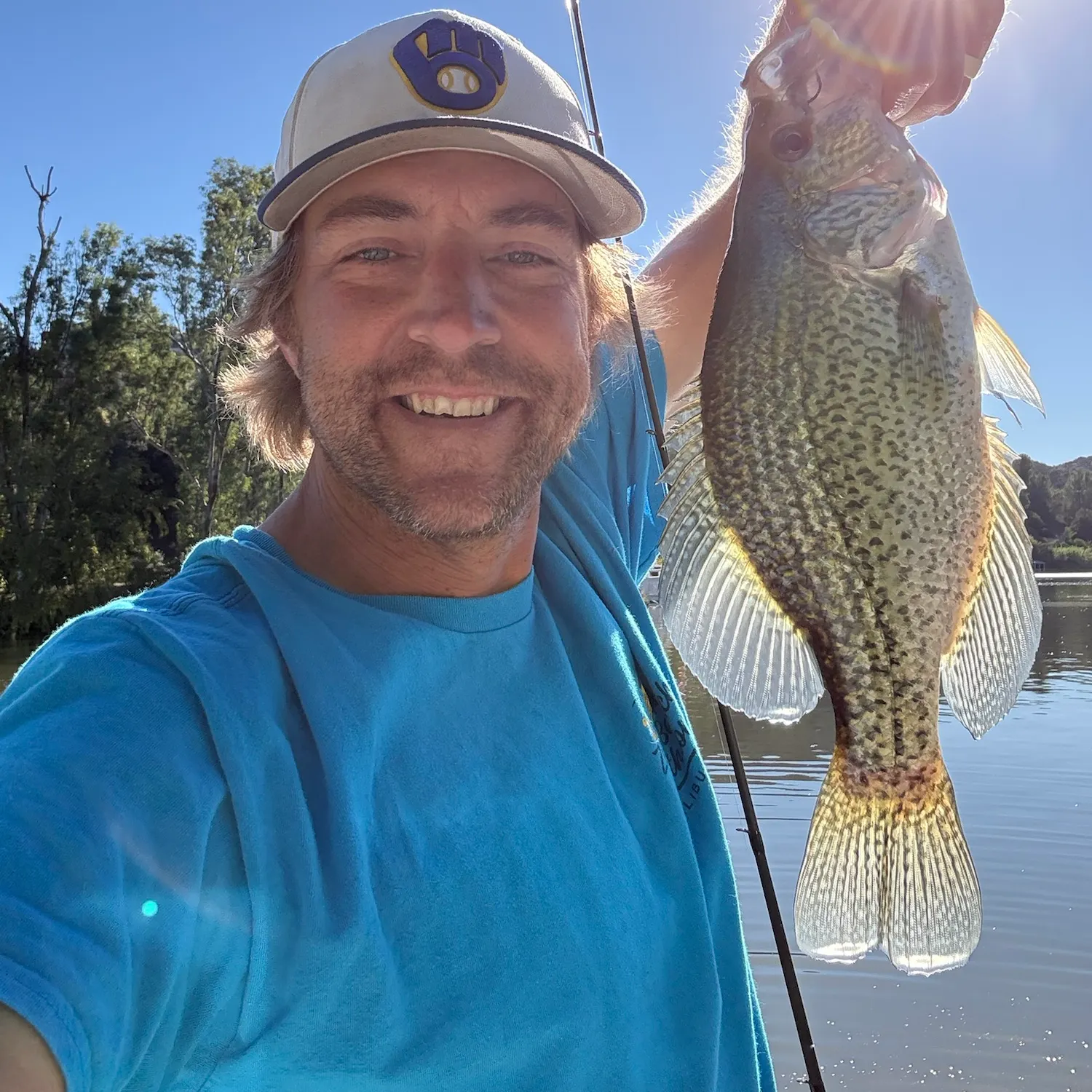 Black crappie caught on Fishbrain