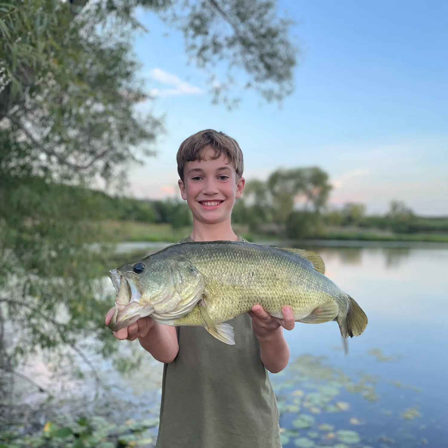 Largemouth bass caught on Fishbrain