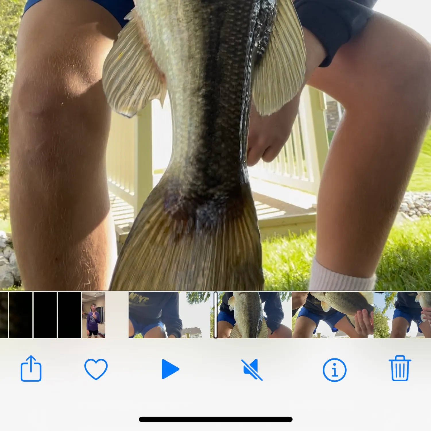 recently logged catches