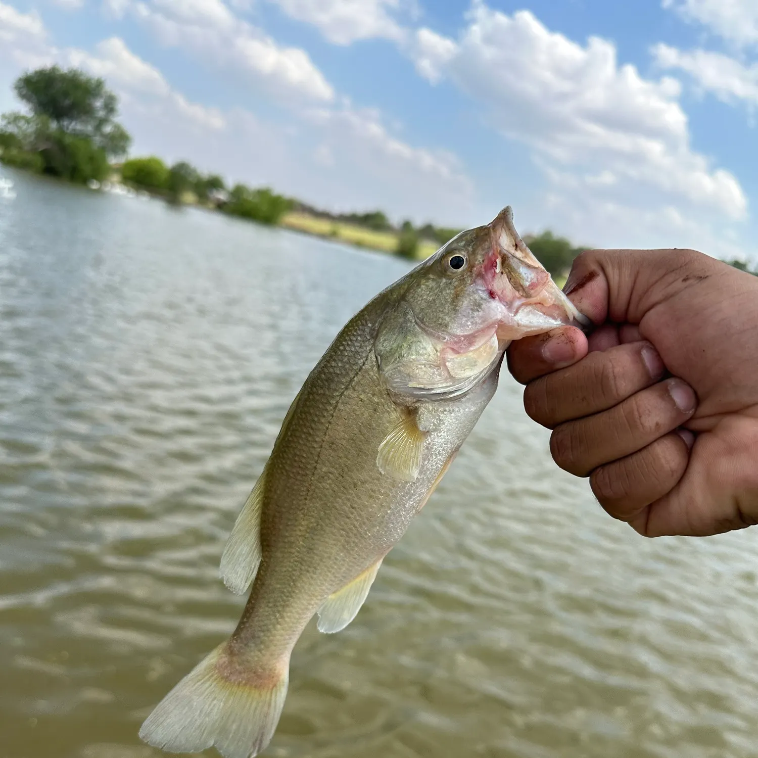 angler catch