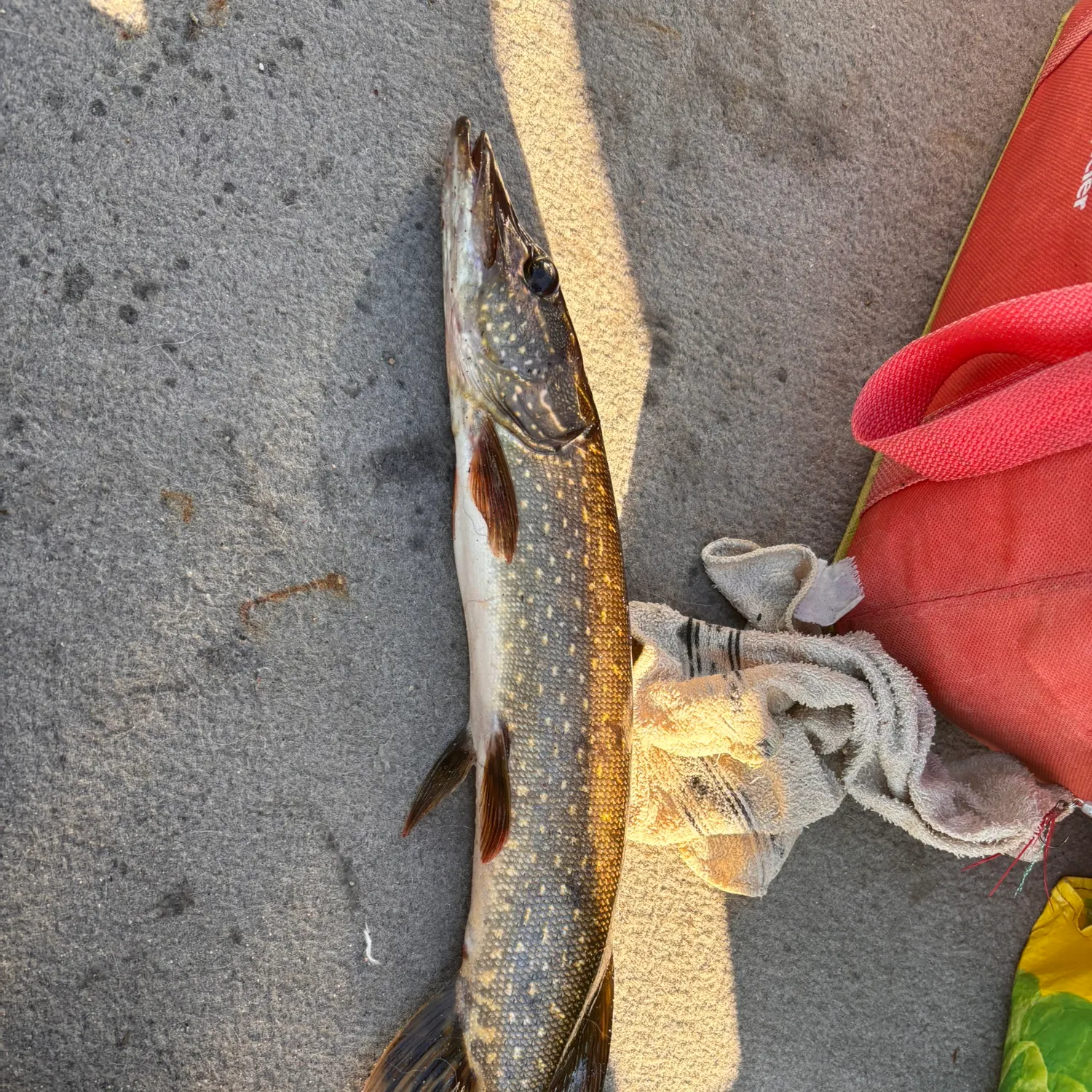 catch