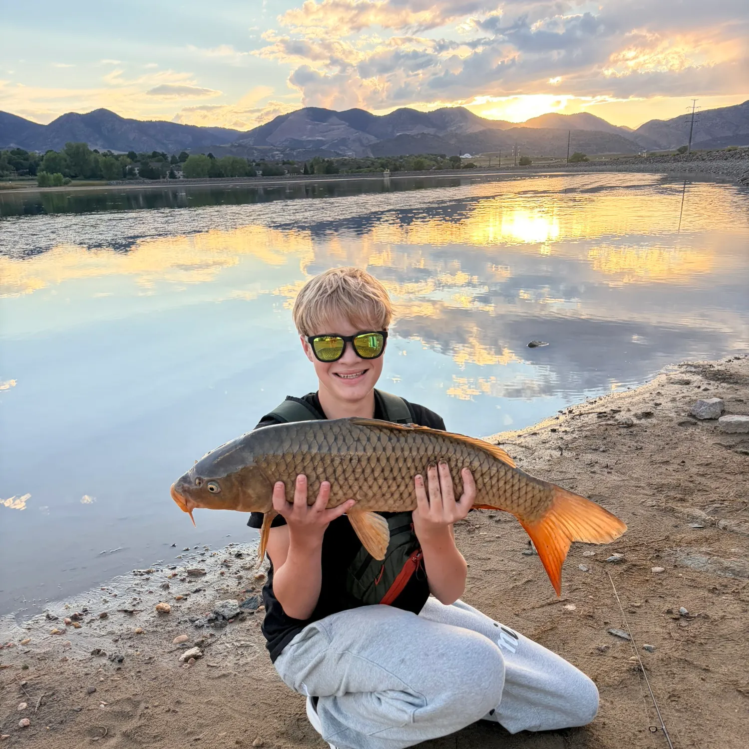 Common carp caught on Fishbrain