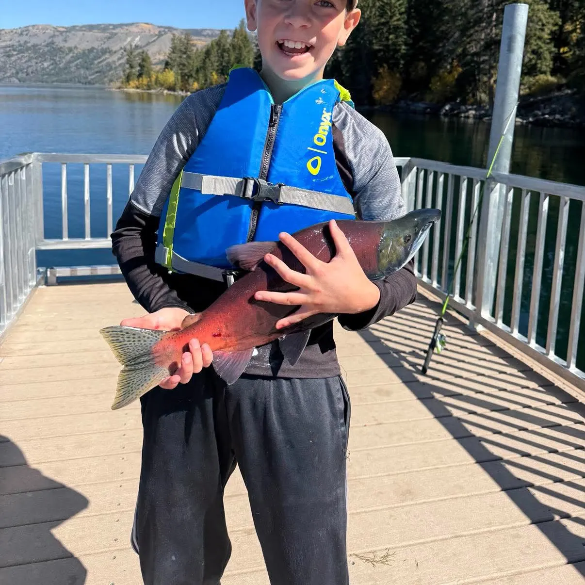 Kokanee salmon caught on Fishbrain