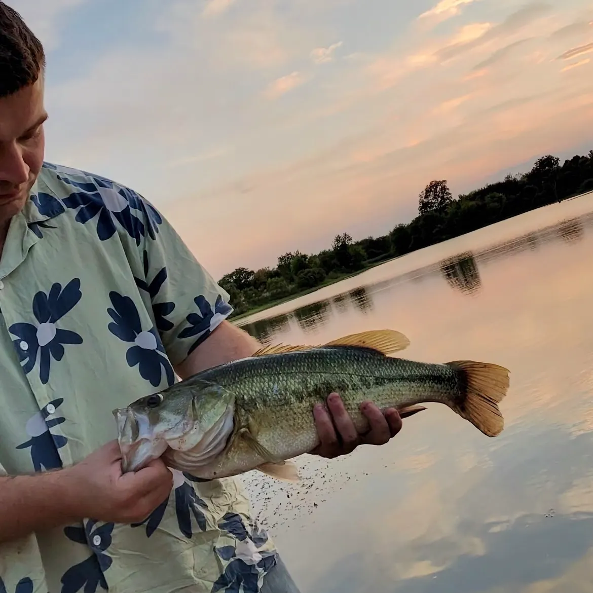 Largemouth bass caught on Fishbrain