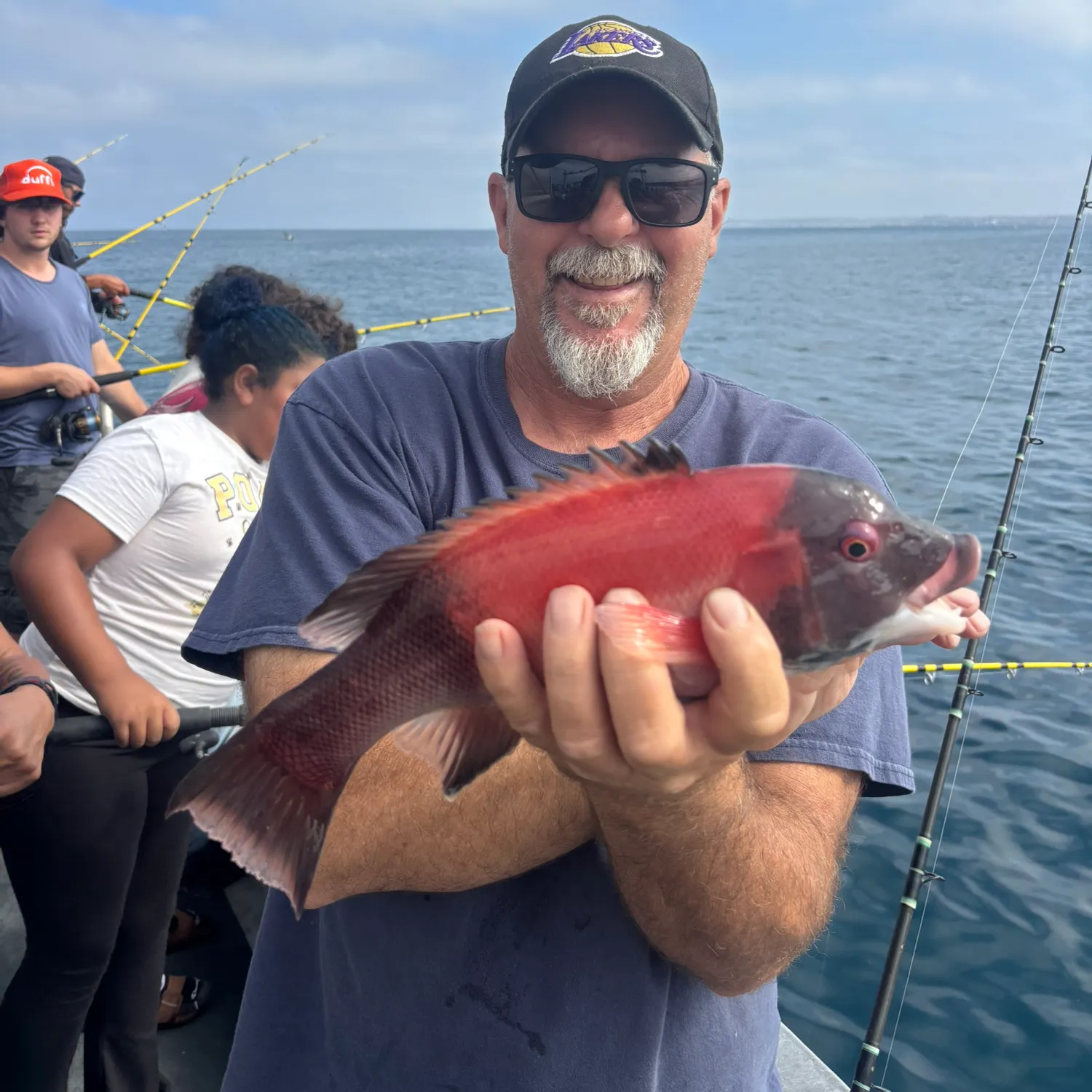The most recent California sheephead catches on Fishbrain