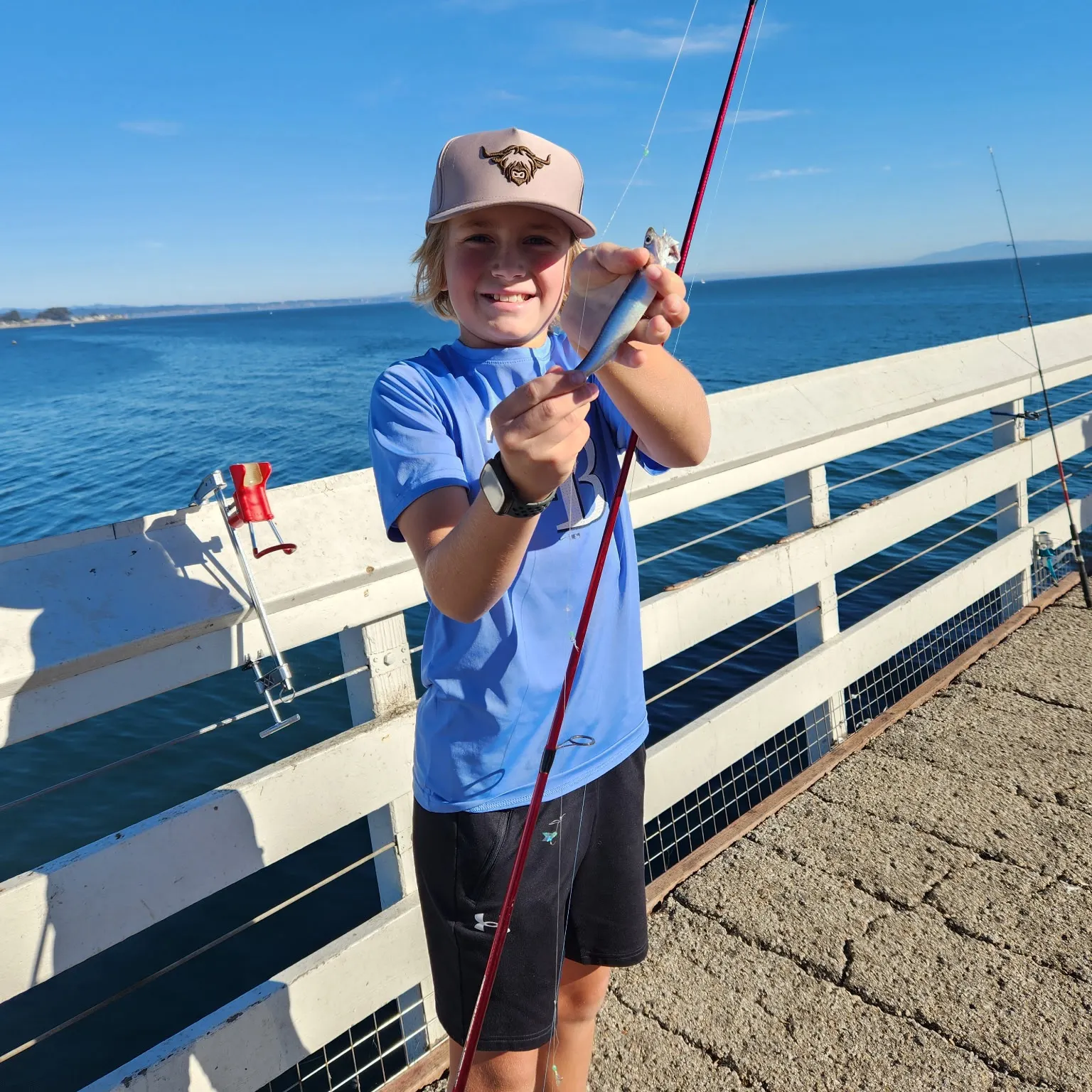 The most recent Northern anchovy catches on Fishbrain