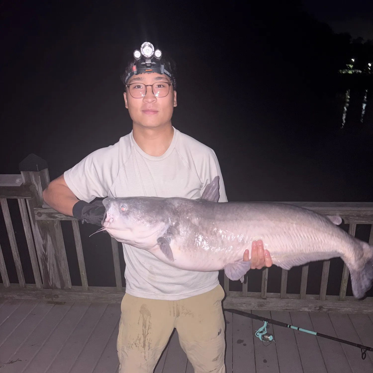Blue catfish caught on Fishbrain