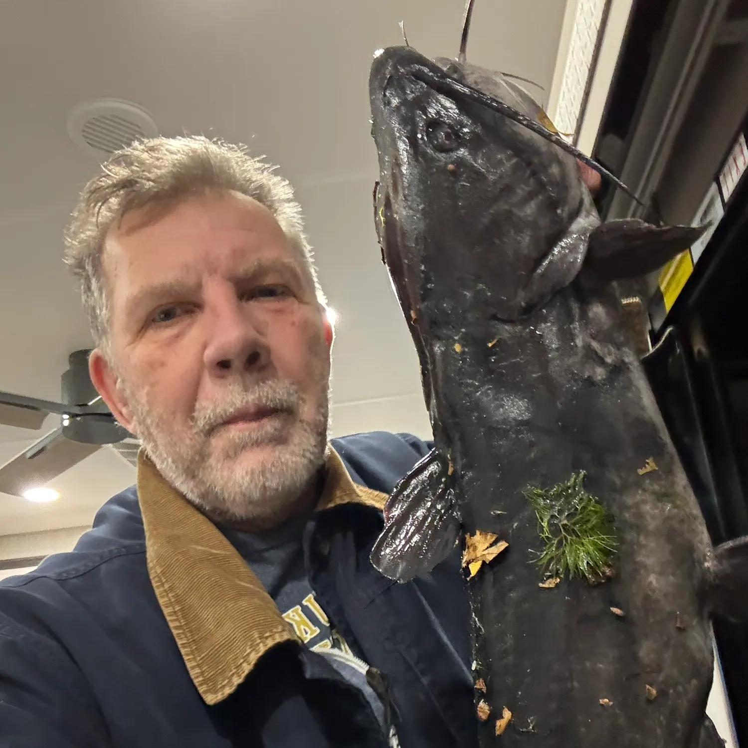 Channel catfish caught on Fishbrain