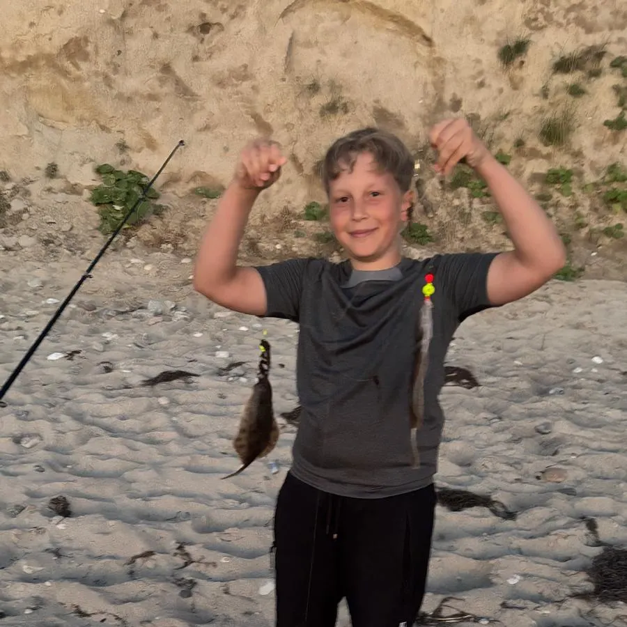 The most recent European plaice catches on Fishbrain