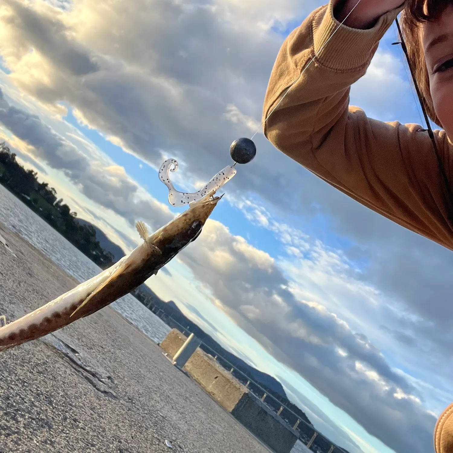 Fringe-eyed flathead caught on Fishbrain