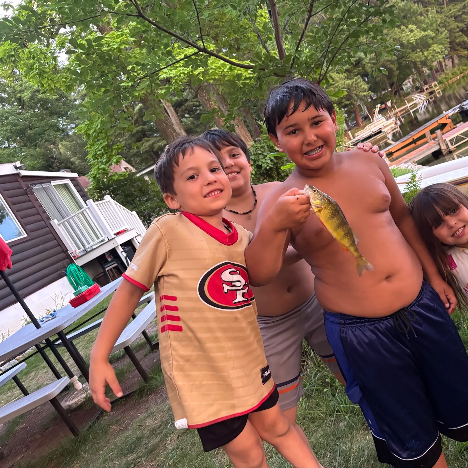 Yellow perch caught on Fishbrain