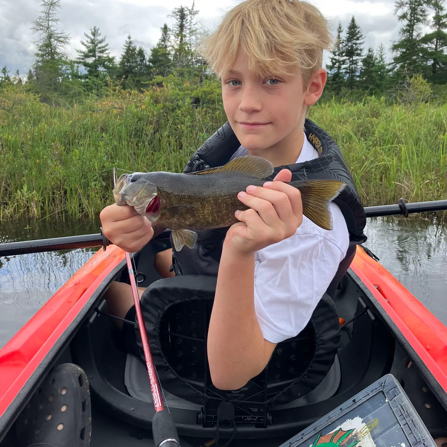 Smallmouth bass caught on Fishbrain