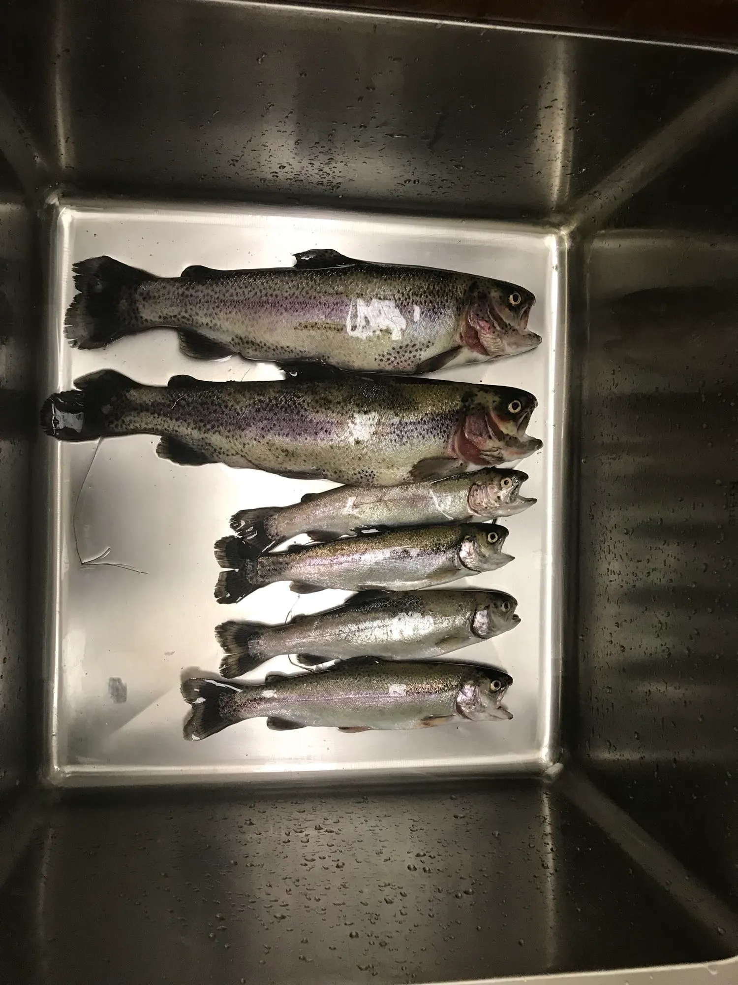 Post image from sharris2510