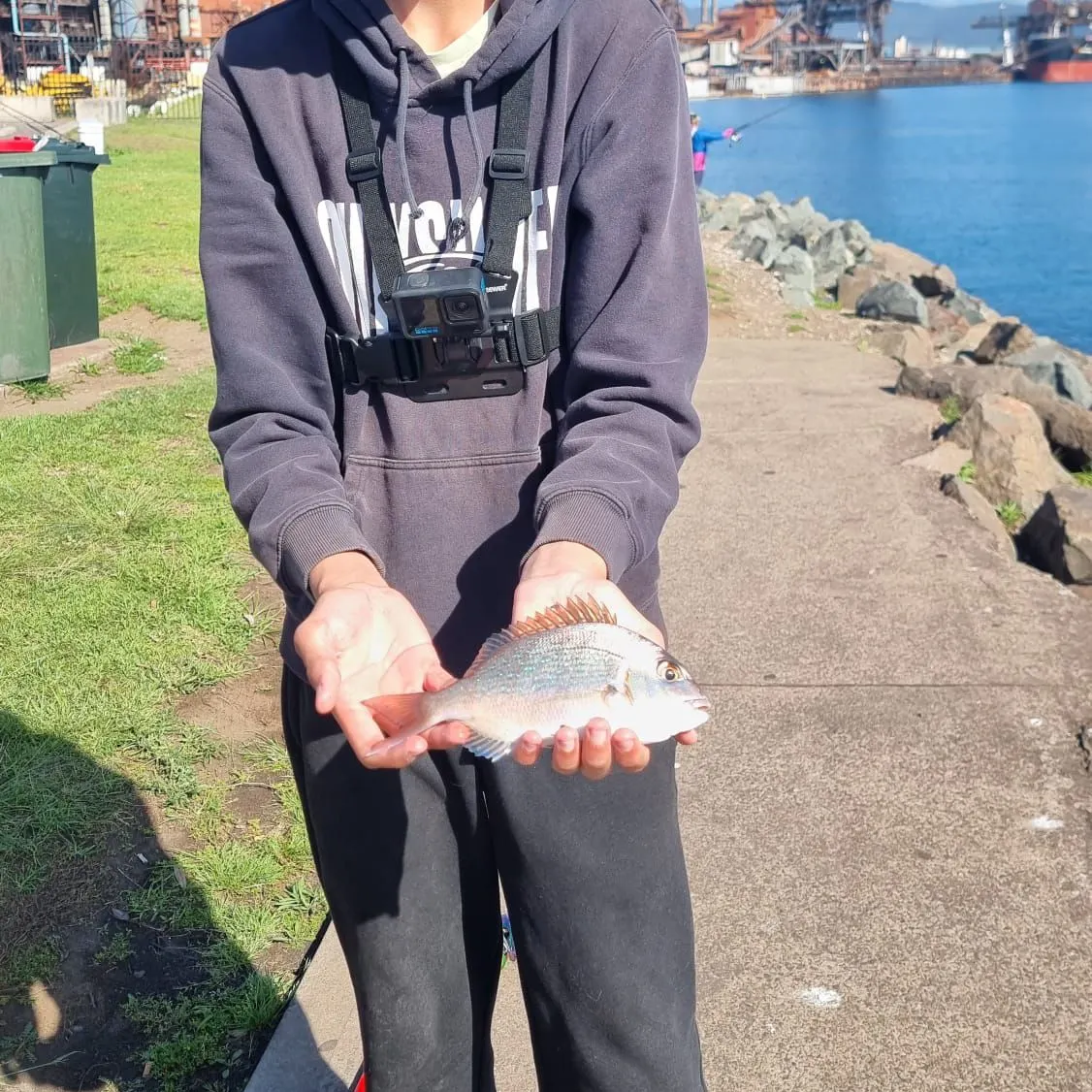 Australasian snapper caught on Fishbrain