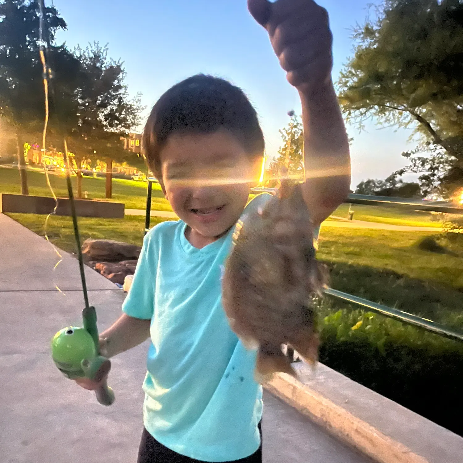 The most recent Rio Grande cichlid catches on Fishbrain