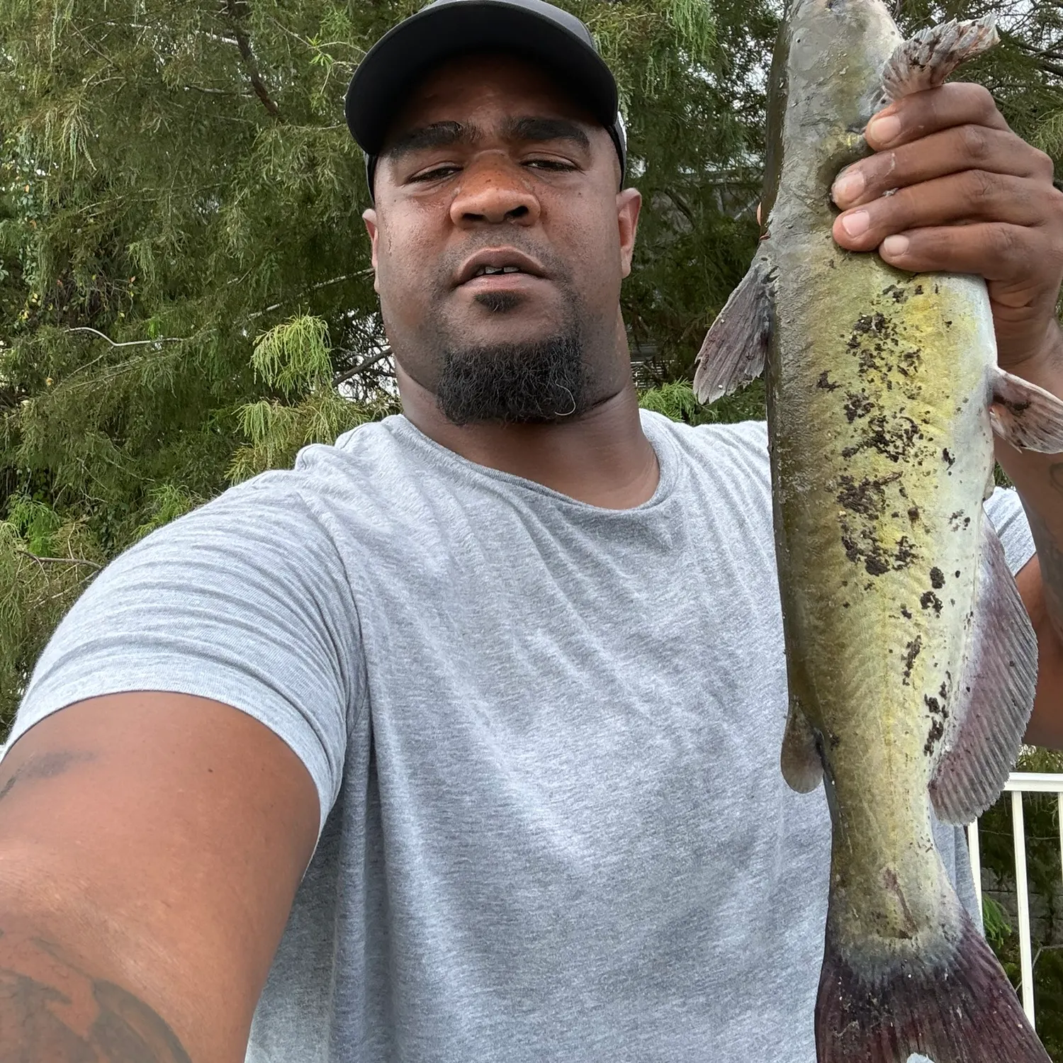 Channel catfish caught on Fishbrain