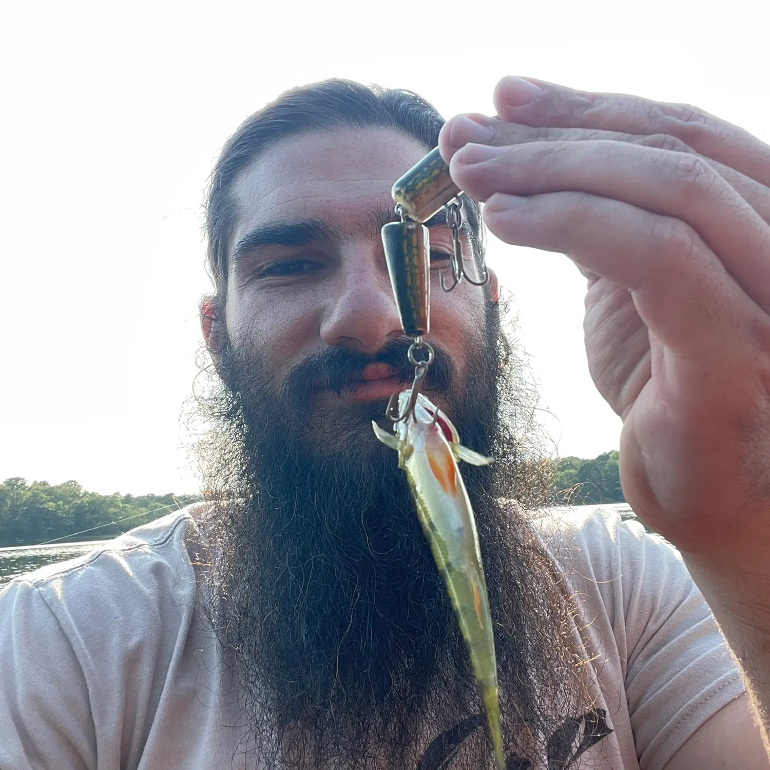 Yellow perch caught on Fishbrain