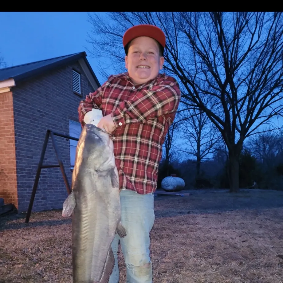 Blue catfish caught on Fishbrain
