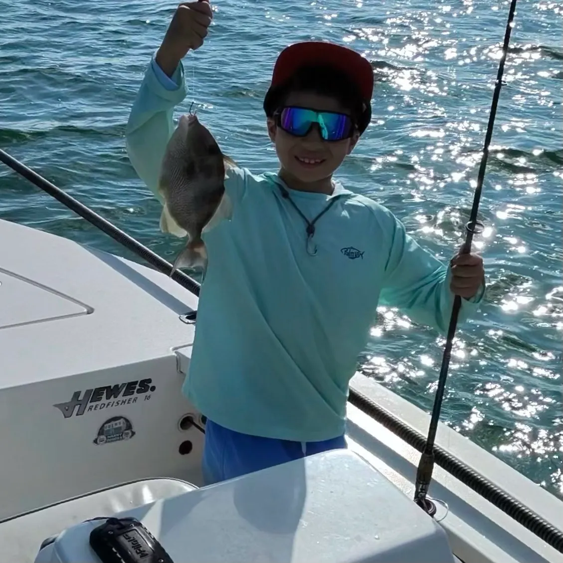 The most recent Grey triggerfish catches on Fishbrain