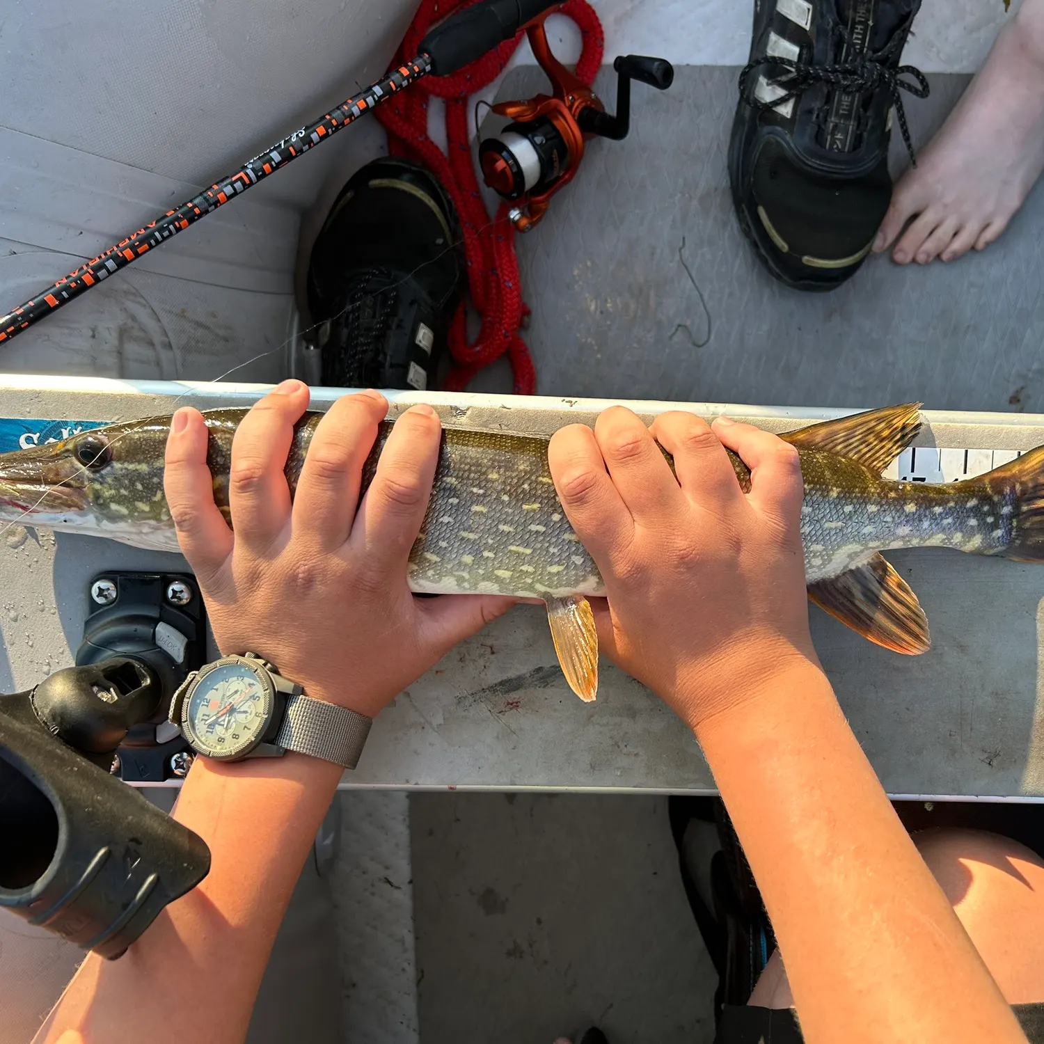 recently logged catches