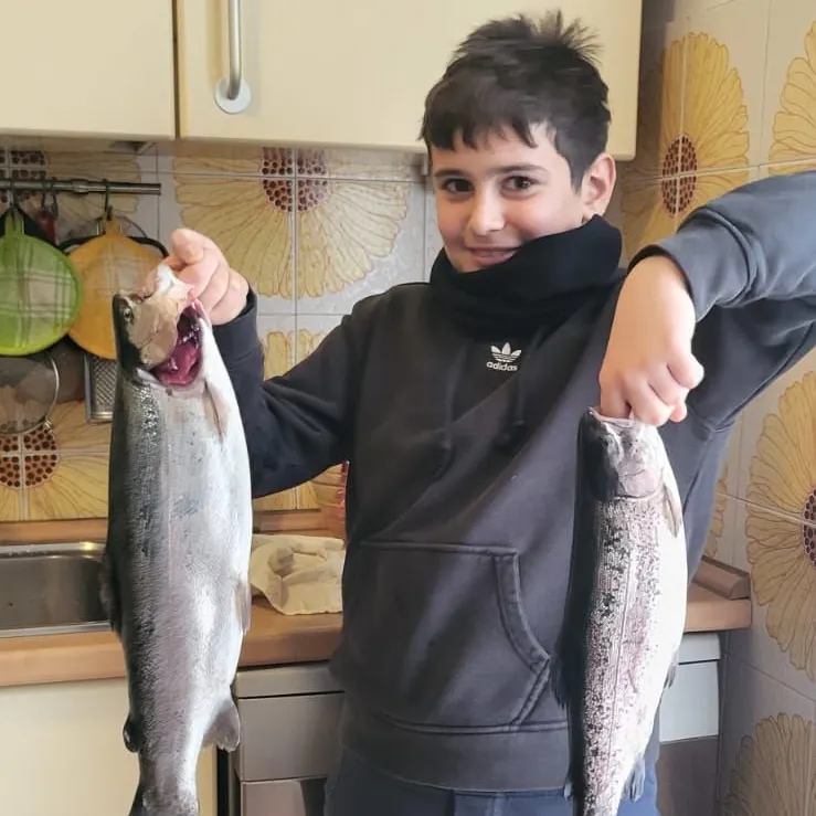Rainbow trout caught on Fishbrain