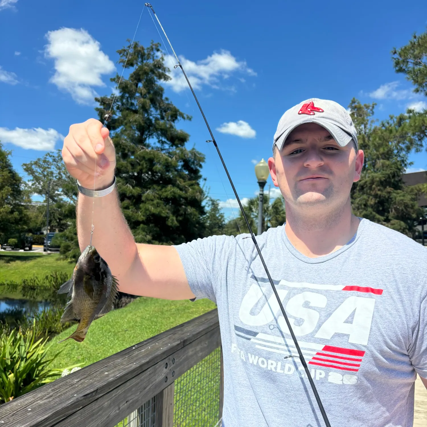 Bluegill caught on Fishbrain