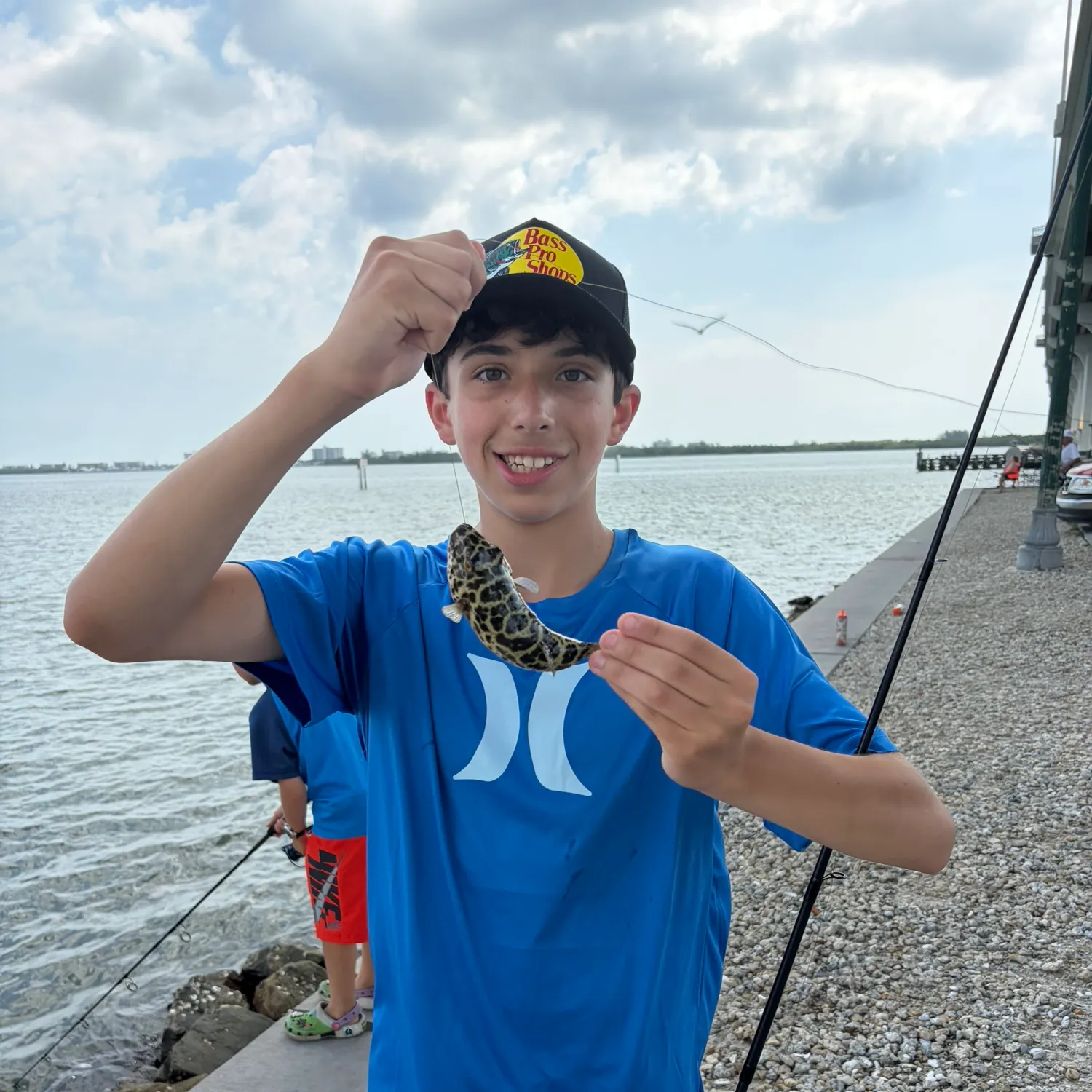 The most recent Spotted green pufferfish catches on Fishbrain