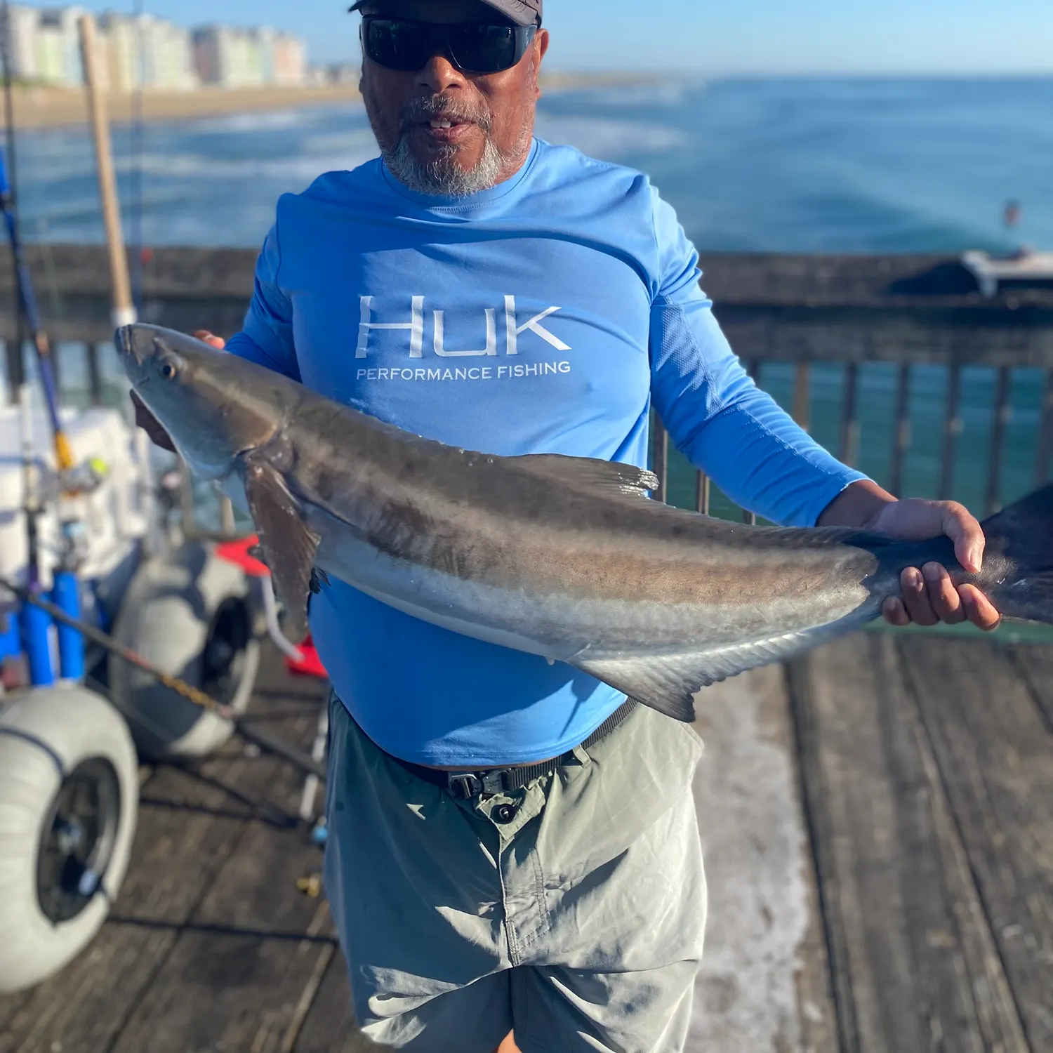 The most recent Cobia catches on Fishbrain